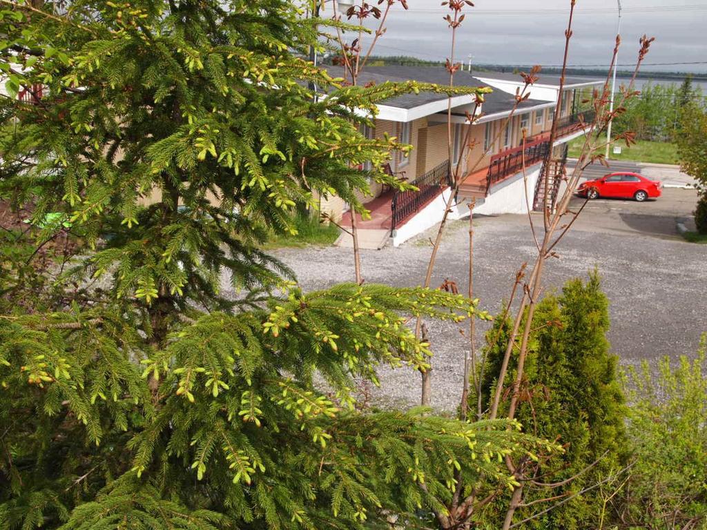 Motel Lyse Rimouski Exterior photo